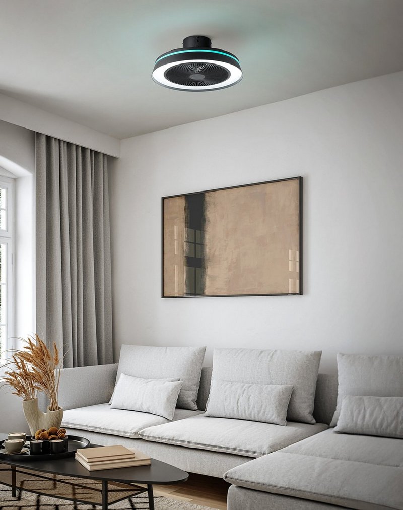 Vallonia Plafondventilator Ø48cm Zwart/Wit + Verlichting + Afstandsbediening - De Smid Verlichting