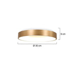 Steinhauer Ringlede PLafondlamp 30cm 3086GO