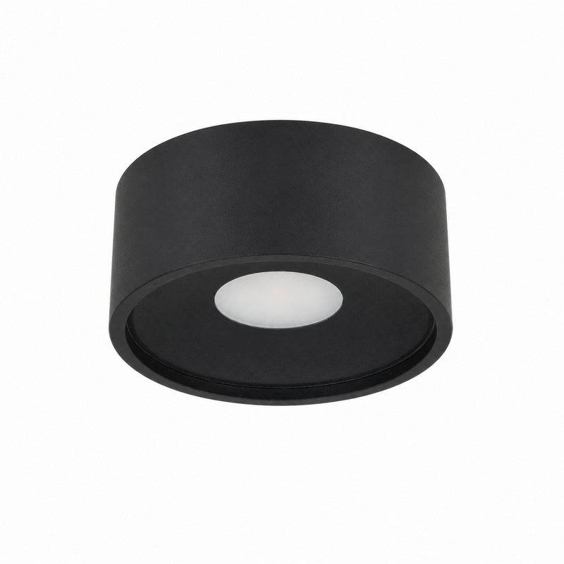 Anyta Plafonnière 12W LED Dim to Warm – Zwart Ø113 mm IP44