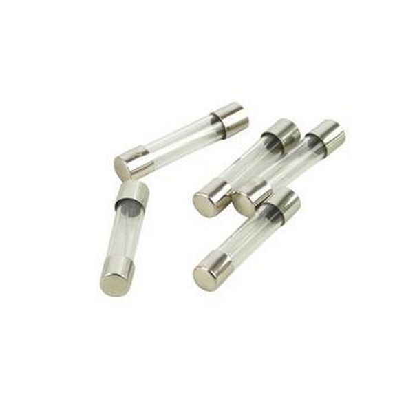 5 Stuks Dimmer Glas Zekering Snel 5X20mm 2,0A - De Smid Verlichting