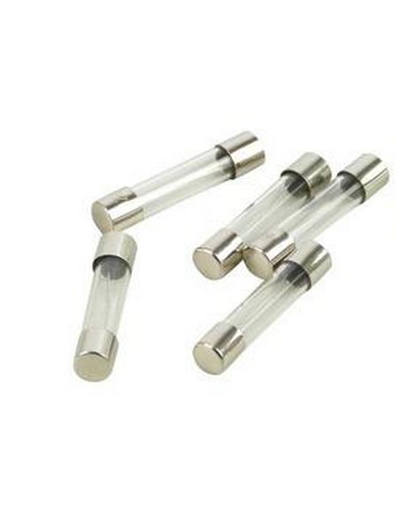 5 Stuks Dimmer Glas Zekering Snel 5X20mm 2,0A