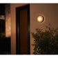 Philips Hue Daylo Outdoor wandlamp Zwart