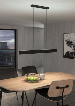 Andreas-Z Hanglamp Zwart Zigbee Connect