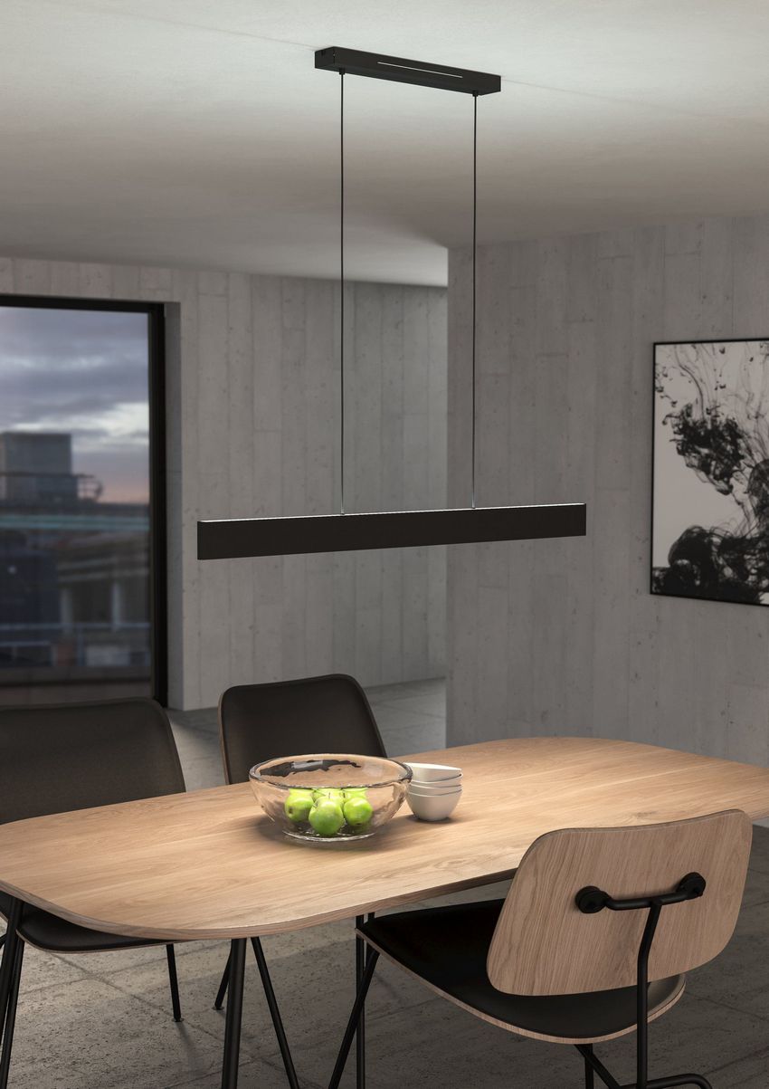 Andreas-Z Hanglamp Zwart Zigbee Connect