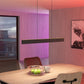 Andreas-Z Hanglamp Zwart Zigbee Connect