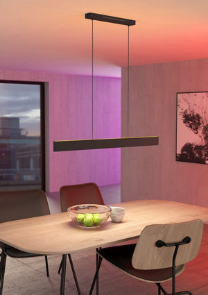 Andreas-Z Hanglamp Zwart Zigbee Connect