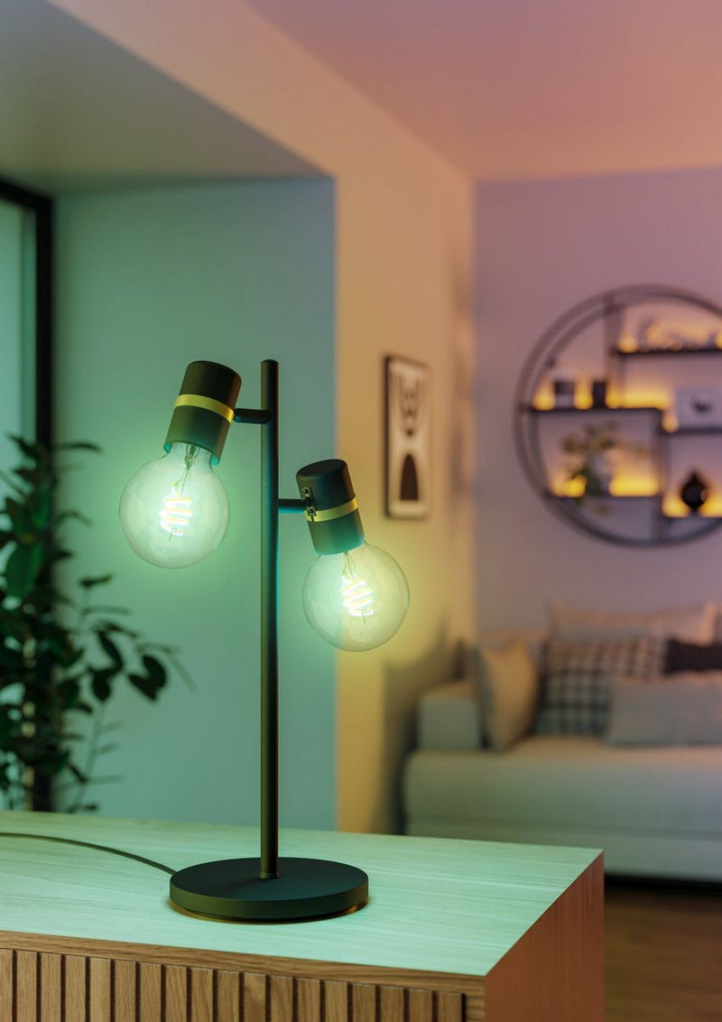 Eglo 110274 LED lamp Globe G95  E27 Helder 400lm 3000K+RGB Connect-Z
