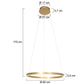 Steinhauer 3502GO Ringlux Hanglamp Ø60cm Mat Goud