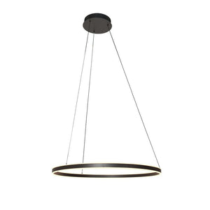 Steinhauer 3675ZW Ringlux Hanglamp Ø80cm Mat Zwart