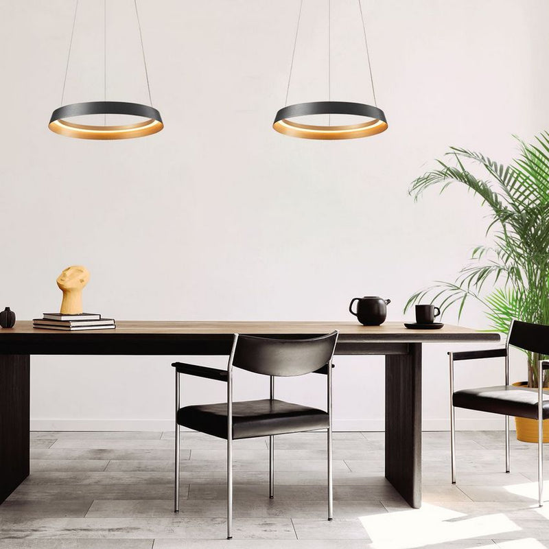 Steinhauer 3692ZW Ringlux Hanglamp Ø60cm Zwart