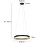 Steinhauer 3692ZW Ringlux Hanglamp Ø60cm Zwart