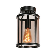 Steinhauer 5973ZW Pimpernel Plafondlamp Zwart