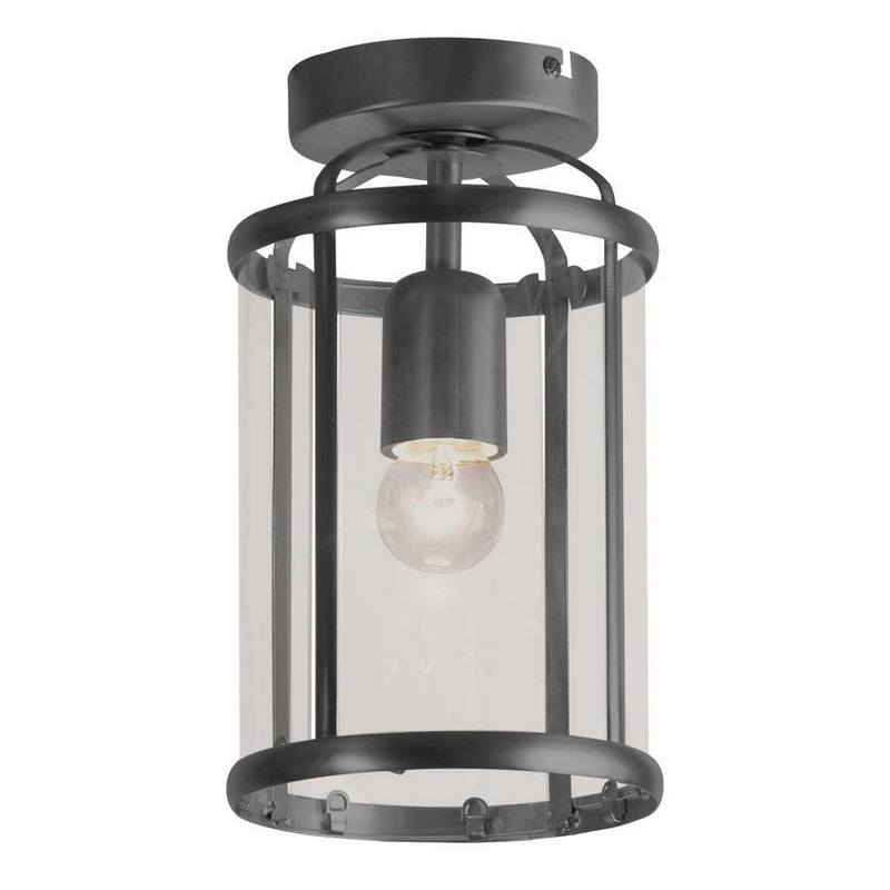 Steinhauer 5973ZW Pimpernel Plafondlamp Zwart
