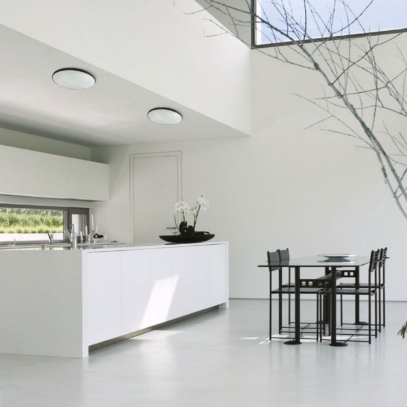 DSV Moderne Buiten Plafondlamp IP54 Zwart/Wit