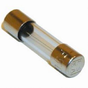 Glaszekering 2A Snel  5X20mm per stuk