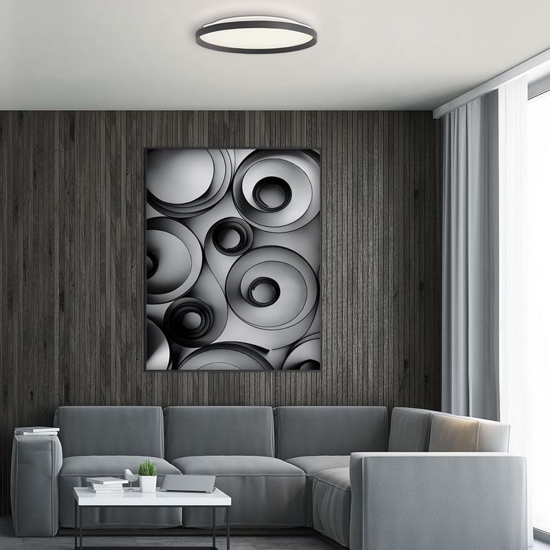 Steinhauer Flady Plafondlamp 40cm Mat Zwart