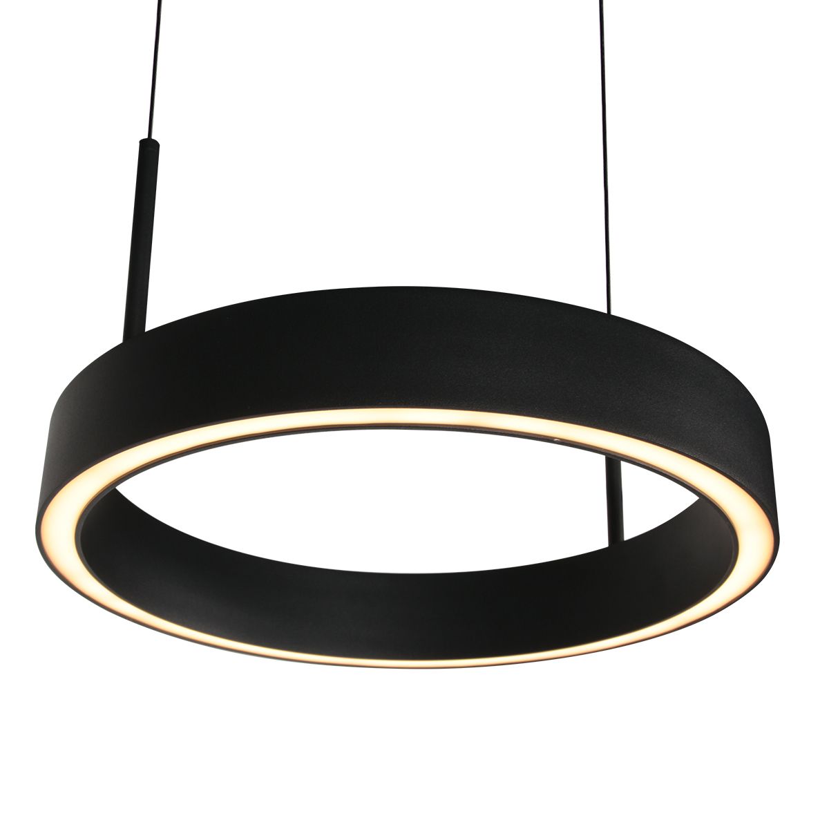 Mykty 2-Lichts Hanglamp  Zwart met Cable Lift Systeem 6000Lumen