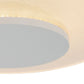 Steinhauer Lido LED Plafond/wandlamp 7798W Wit
