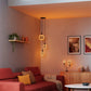 Osram 1906 O-LED Lichtbron G183 dimbaar Smoke 4watt E27