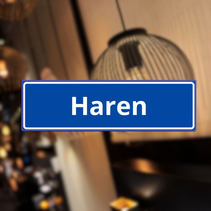 Verlichting Haren