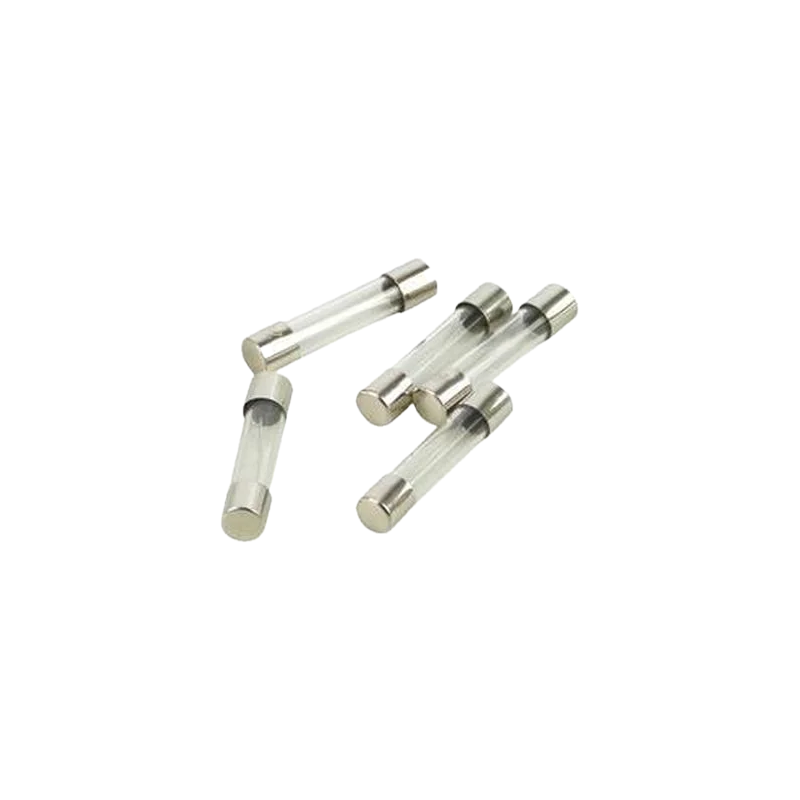 5 Stuks glas zekeringen 5 x 20mm 2,5A