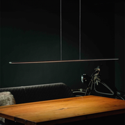 Holtkötter Epsilon Hanglamp 163cm 9236-1-55 Mat Zwart