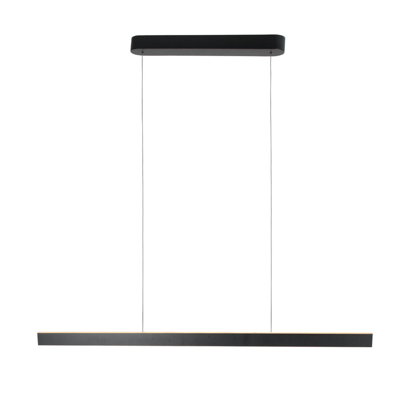 Steinhauer Karol Cable Lift Hanglamp 4734ZW Zwart