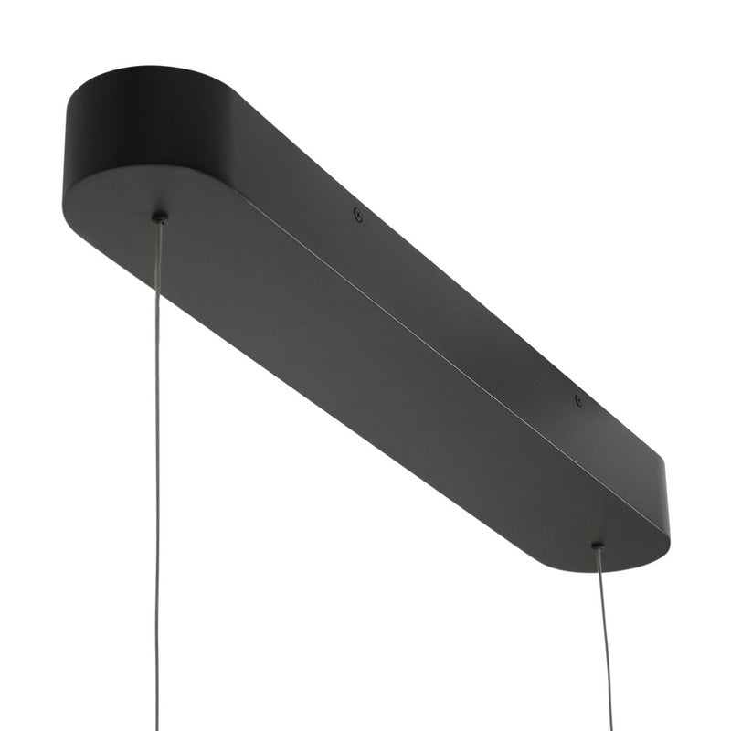 Steinhauer Karol Cable Lift Hanglamp 4733ZW Zwart