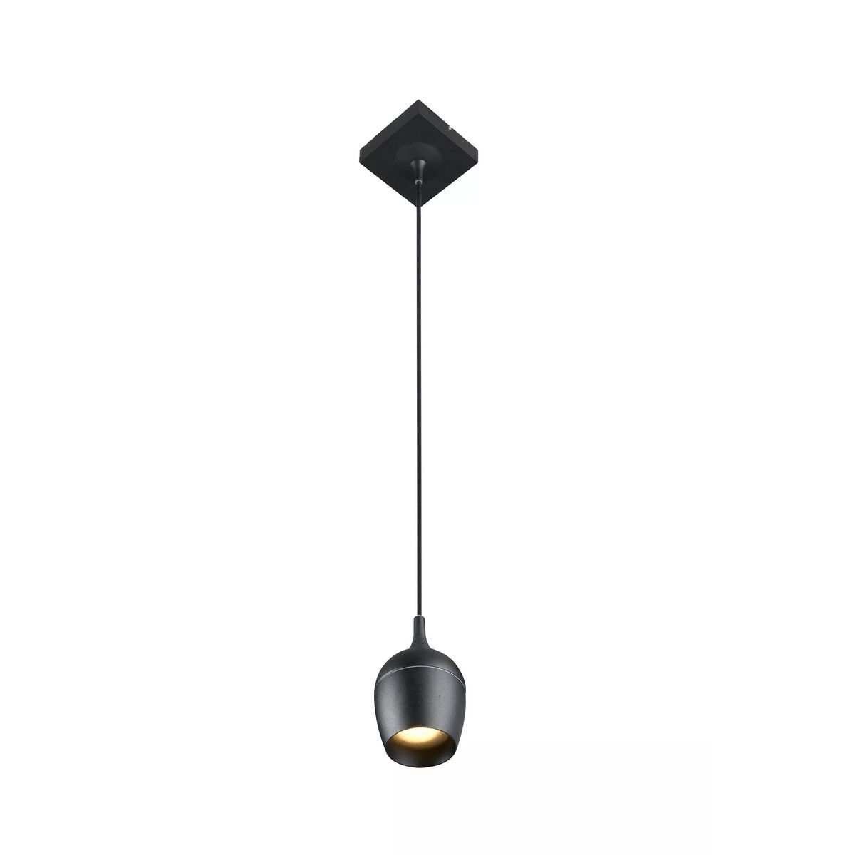 Preston Badkamer hanglamp GU10 IP44 Zwart - De Smid Verlichting