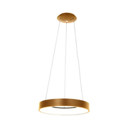 Steinhauer Hanglamp Ringlede goud