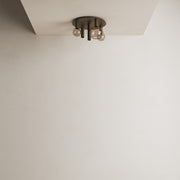 Ztahl Riva Plafondlamp Rond 5- Lichts 4360-platinum - De Smid Verlichting