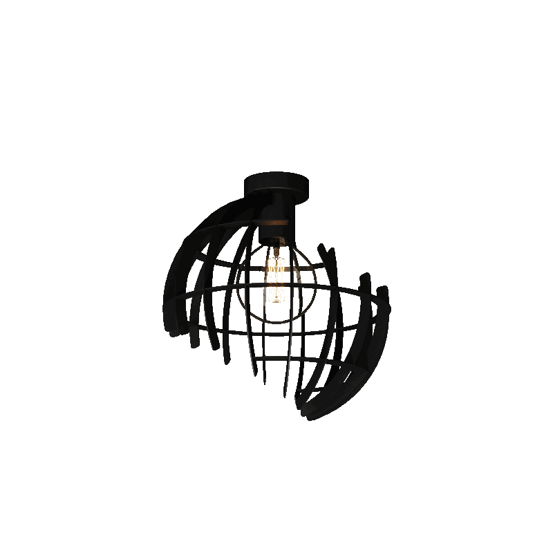 Ztahl Terra Plafonnière Ø60cm 2420-9005 Mat Zwart