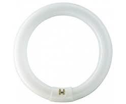 Leuci TLE ronde buis 22w cool wit