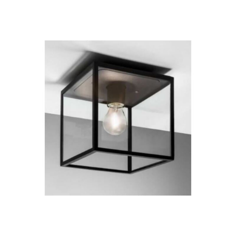 F&V Tangor Plafondlamp Zwart/Glas Ip44