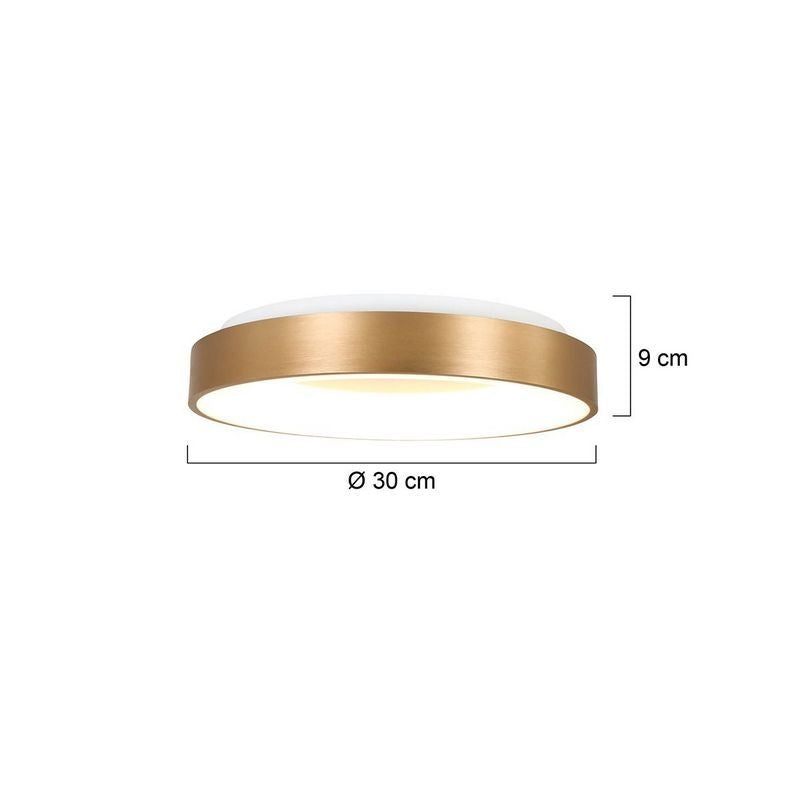 Steinhauer Ringlede PLafondlamp 30cm 3086GO