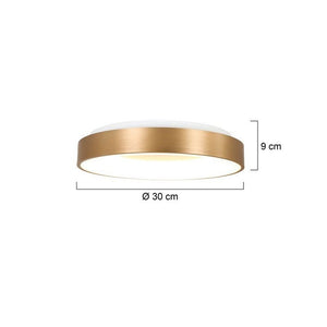 Steinhauer Ringlede PLafondlamp 30cm 3086GO